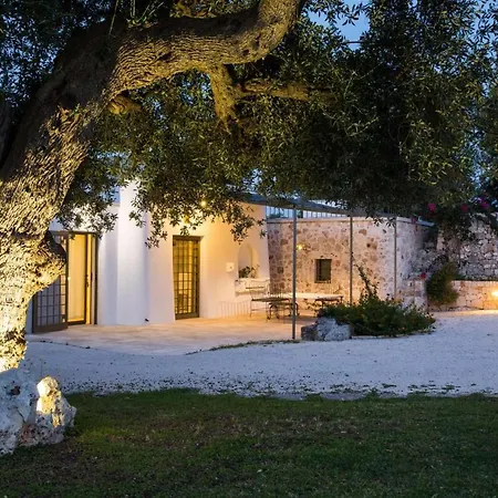 Oasi Di *